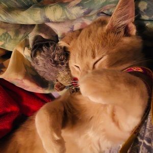 Meet your Posher, Christa